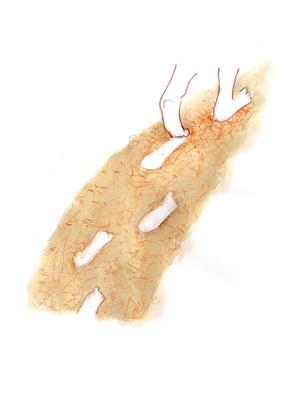 disegno di Vico Calabrò